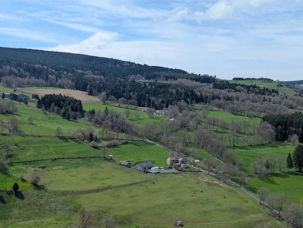 Terrain de boules commun